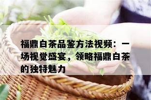 福鼎白茶品鉴方法视频：一场视觉盛宴，领略福鼎白茶的独特魅力