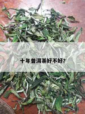 十年普洱茶好不好？