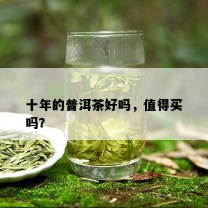 十年的普洱茶好吗，值得买吗？