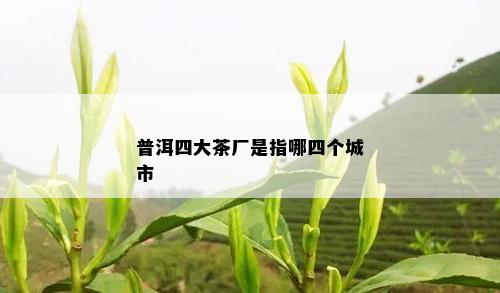 普洱四大茶厂是指哪四个城市