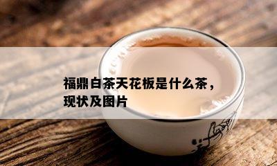 福鼎白茶天花板是什么茶，现状及图片