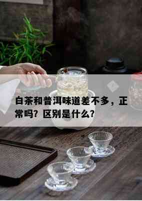 白茶和普洱味道差不多，正常吗？区别是什么？