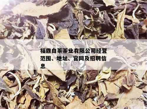 福鼎白茶茶业有限公司经营范围、地址、官网及招聘信息