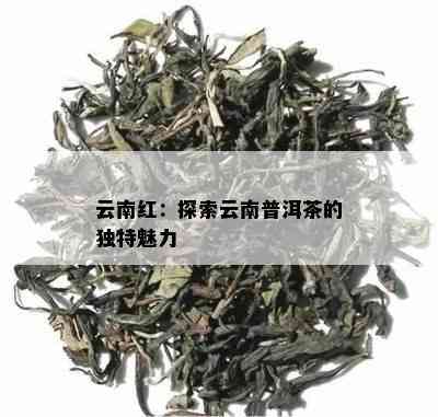 云南红：探索云南普洱茶的独特魅力