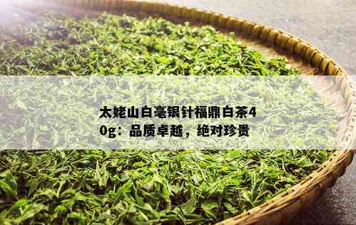 太姥山白毫银针福鼎白茶40g：品质卓越，绝对珍贵