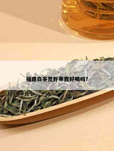 福鼎白茶荒野寒露好喝吗？