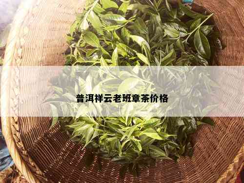 普洱祥云老班章茶价格