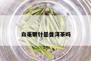 白毫银针是普洱茶吗