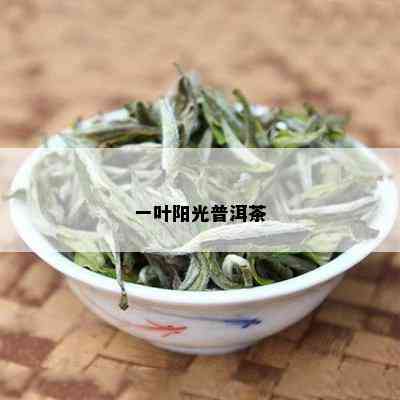 一叶阳光普洱茶