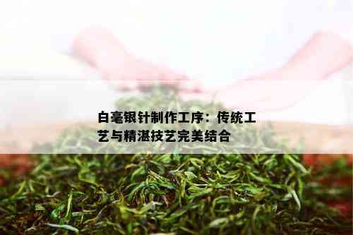 白毫银针制作工序：传统工艺与精湛技艺完美结合