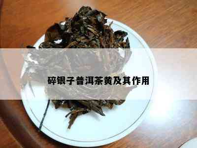 碎银子普洱茶黄及其作用