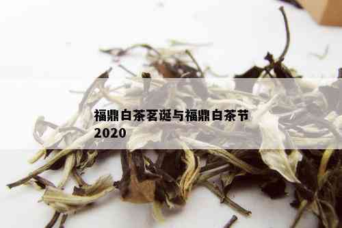 福鼎白茶茗诞与福鼎白茶节2020