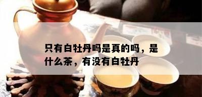 只有白牡丹吗是真的吗，是什么茶，有没有白牡丹