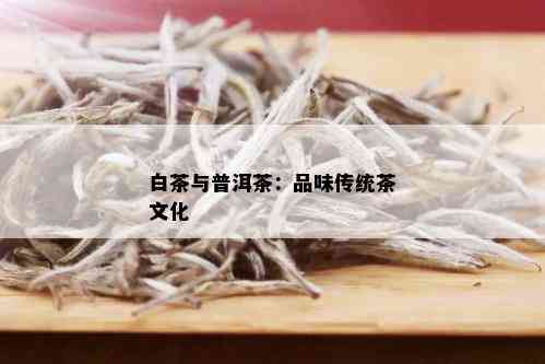 白茶与普洱茶：品味传统茶文化