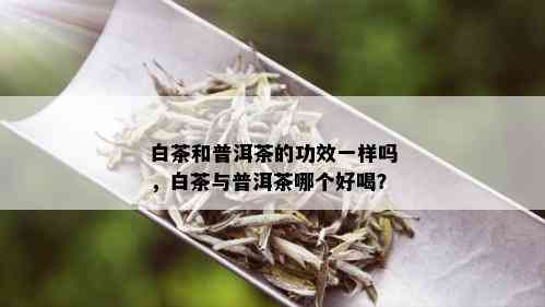 白茶和普洱茶的功效一样吗，白茶与普洱茶哪个好喝？