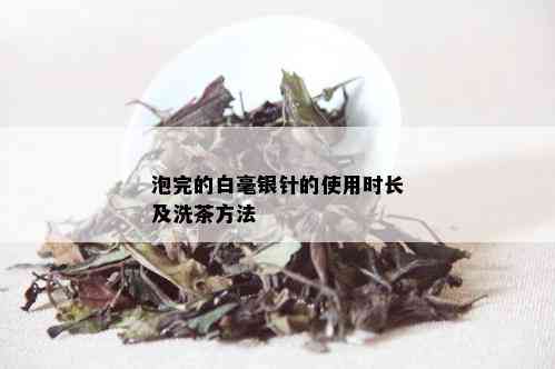 泡完的白毫银针的使用时长及洗茶方法