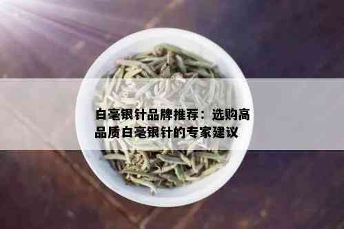 白毫银针品牌推荐：选购高品质白毫银针的专家建议