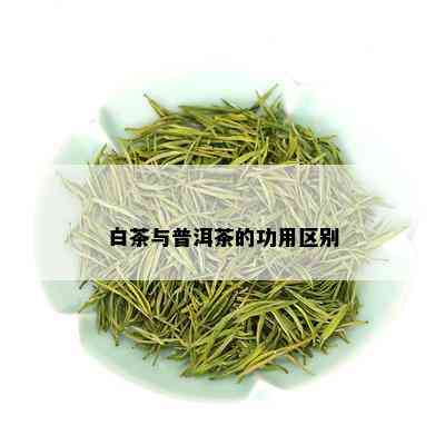 白茶与普洱茶的功用区别