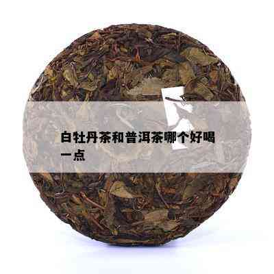 白牡丹茶和普洱茶哪个好喝一点