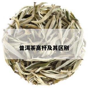 普洱茶高杆及其区别