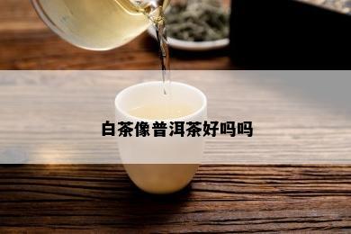 白茶像普洱茶好吗吗