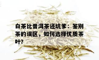 白茶比普洱茶还坑爹：鉴别茶的误区，如何选择优质茶叶？