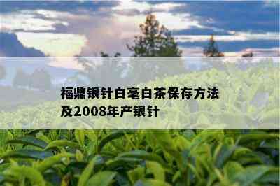 福鼎银针白毫白茶保存方法及2008年产银针