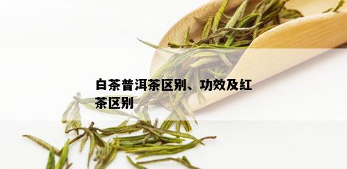 白茶普洱茶区别、功效及红茶区别