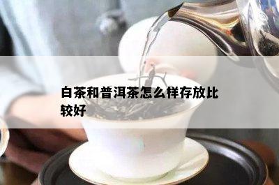 白茶和普洱茶怎么样存放比较好