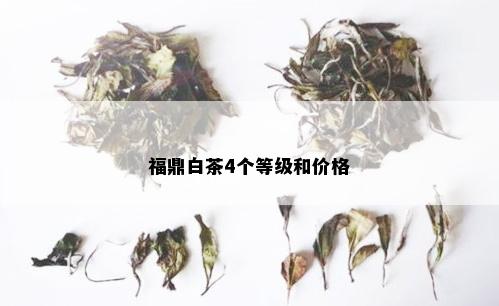 福鼎白茶4个等级和价格