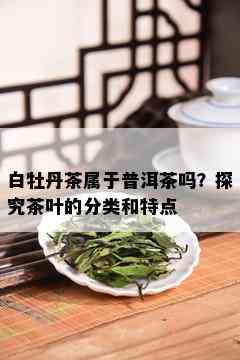 白牡丹茶属于普洱茶吗？探究茶叶的分类和特点