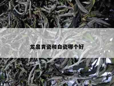 龙泉青瓷和白瓷哪个好