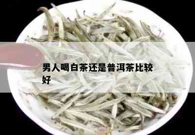 男人喝白茶还是普洱茶比较好