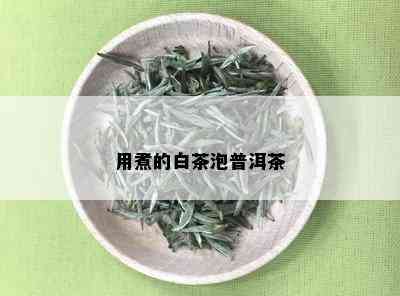 用煮的白茶泡普洱茶