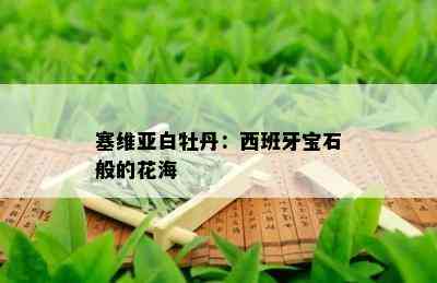 塞维亚白牡丹：西班牙宝石般的花海