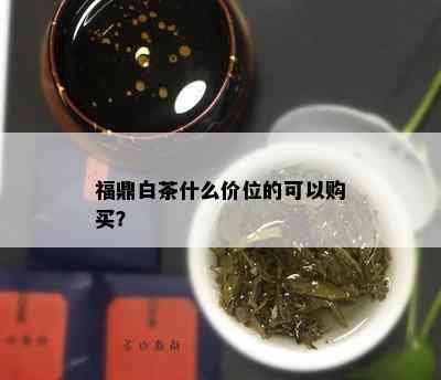 福鼎白茶什么价位的可以购买？