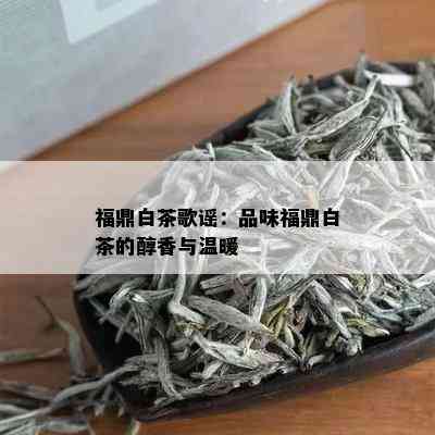 福鼎白茶歌谣：品味福鼎白茶的醇香与温暖