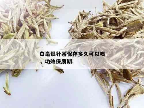 白毫银针茶保存多久可以喝，功效保质期