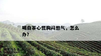 喝白茶心慌胸闷憋气，怎么办？