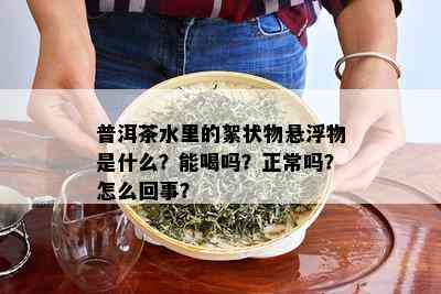 普洱茶水里的絮状物悬浮物是什么？能喝吗？正常吗？怎么回事？