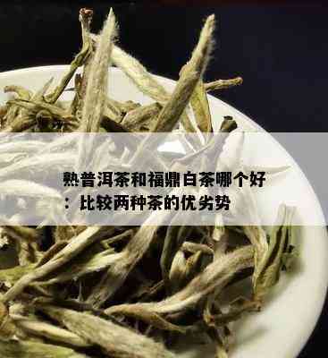 熟普洱茶和福鼎白茶哪个好：比较两种茶的优劣势