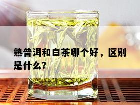 熟普洱和白茶哪个好，区别是什么？