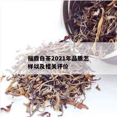 福鼎白茶2021年品质怎样以及相关评价