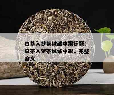 白茶入梦茶绒绒中跟标题：白茶入梦茶绒绒中跟，完整含义