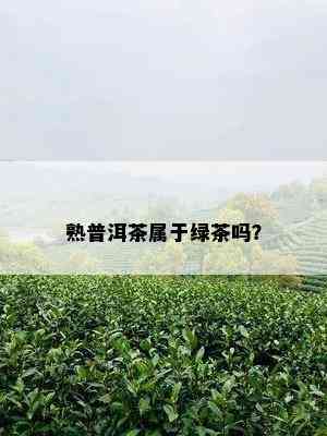 熟普洱茶属于绿茶吗？