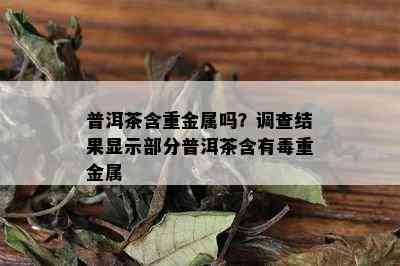 普洱茶含重金属吗？调查结果显示部分普洱茶含有重金属