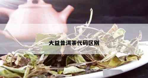 大益普洱茶代码区别