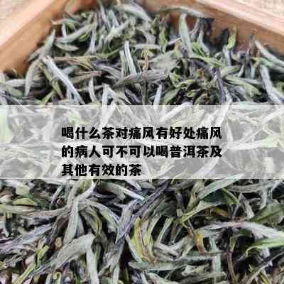 喝什么茶对痛风有好处痛风的病人可不可以喝普洱茶及其他有效的茶