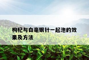 枸杞与白毫银针一起泡的效果及方法