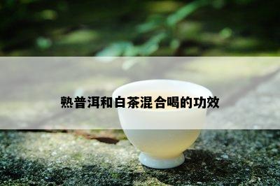 熟普洱和白茶混合喝的功效